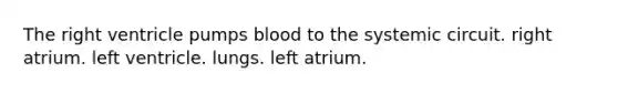 The right ventricle pumps blood to the systemic circuit. right atrium. left ventricle. lungs. left atrium.