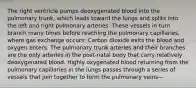 The right ventricle pumps deoxygenated blood into the pulmonary trunk, which leads toward the lungs and splits into the left and right pulmonary arteries. These vessels in turn branch many times before reaching the pulmonary capillaries, where gas exchange occurs: Carbon dioxide exits the blood and oxygen enters. The pulmonary trunk arteries and their branches are the only arteries in the post-natal body that carry relatively deoxygenated blood. Highly oxygenated blood returning from the pulmonary capillaries in the lungs passes through a series of vessels that join together to form the pulmonary veins—