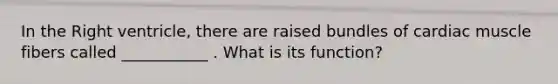 In the Right ventricle, there are raised bundles of cardiac muscle fibers called ___________ . What is its function?