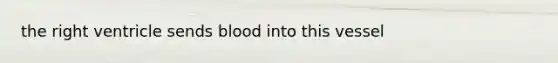 the right ventricle sends blood into this vessel