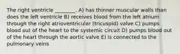 The right ventricle ________. A) has thinner muscular walls than does the left ventricle B) receives blood from the left atrium through the right atrioventricular (tricuspid) valve C) pumps blood out of the heart to the systemic circuit D) pumps blood out of the heart through the aortic valve E) is connected to the pulmonary veins