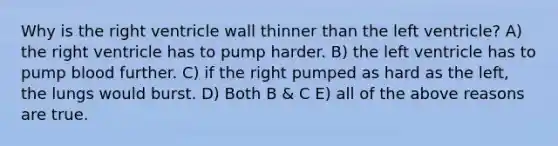 Why is the right ventricle wall thinner than the left ventricle? A) the right ventricle has to pump harder. B) the left ventricle has to pump blood further. C) if the right pumped as hard as the left, the lungs would burst. D) Both B & C E) all of the above reasons are true.