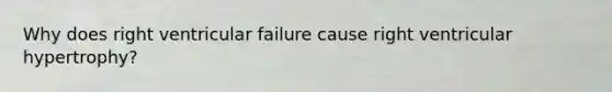 Why does right ventricular failure cause right ventricular hypertrophy?