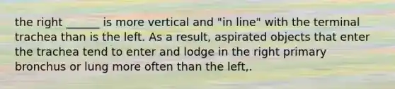 the right ______ is more vertical and "in line" with the terminal trachea than is the left. As a result, aspirated objects that enter the trachea tend to enter and lodge in the right primary bronchus or lung more often than the left,.