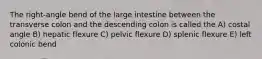 The right-angle bend of the large intestine between the transverse colon and the descending colon is called the A) costal angle B) hepatic flexure C) pelvic flexure D) splenic flexure E) left colonic bend