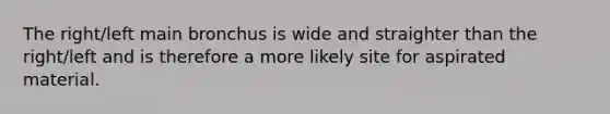 The right/left main bronchus is wide and straighter than the right/left and is therefore a more likely site for aspirated material.