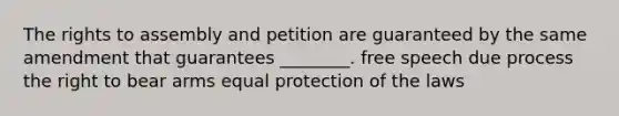 The rights to assembly and petition are guaranteed by the same amendment that guarantees ________. free speech due process the <a href='https://www.questionai.com/knowledge/kKaaEeOreB-right-to-bear-arms' class='anchor-knowledge'>right to bear arms</a> equal protection of the laws