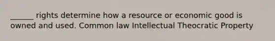 ______ rights determine how a resource or economic good is owned and used. Common law Intellectual Theocratic Property