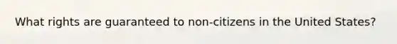What rights are guaranteed to non-citizens in the United States?