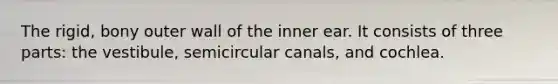 The rigid, bony outer wall of the inner ear. It consists of three parts: the vestibule, semicircular canals, and cochlea.