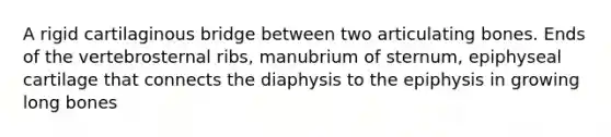 A rigid cartilaginous bridge between two articulating bones. Ends of the vertebrosternal ribs, manubrium of sternum, epiphyseal cartilage that connects the diaphysis to the epiphysis in growing long bones