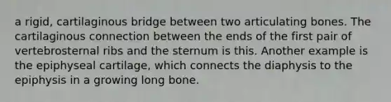 a rigid, cartilaginous bridge between two articulating bones. The cartilaginous connection between the ends of the first pair of vertebrosternal ribs and the sternum is this. Another example is the epiphyseal cartilage, which connects the diaphysis to the epiphysis in a growing long bone.