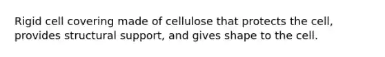 Rigid cell covering made of cellulose that protects the cell, provides structural support, and gives shape to the cell.