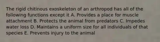 The rigid chitinous exoskeleton of an arthropod has all of the following functions except it A. Provides a place for muscle attachment B. Protects the animal from predators C. Impedes water loss D. Maintains a uniform size for all individuals of that species E. Prevents injury to the animal