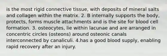 is the most rigid connective tissue, with deposits of mineral salts and collagen within the matrix. 2. B internally supports the body, protects, forms muscle attachments and is the site for blood cell formation. 3. osteocytes, lie within lacunae and are arranged in concentric circles (osteons) around osteonic canals interconnected by canaliculi. 4.has a good blood supply, enabling rapid recovery after an injury.