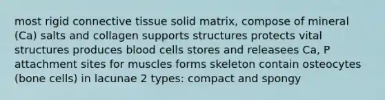 most rigid connective tissue solid matrix, compose of mineral (Ca) salts and collagen supports structures protects vital structures produces blood cells stores and releasees Ca, P attachment sites for muscles forms skeleton contain osteocytes (bone cells) in lacunae 2 types: compact and spongy