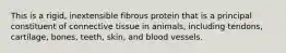 This is a rigid, inextensible fibrous protein that is a principal constituent of connective tissue in animals, including tendons, cartilage, bones, teeth, skin, and blood vessels.