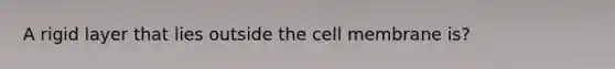 A rigid layer that lies outside the cell membrane is?