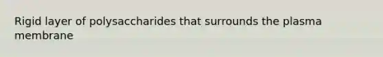 Rigid layer of polysaccharides that surrounds the plasma membrane