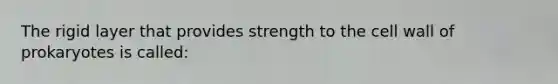 The rigid layer that provides strength to the cell wall of prokaryotes is called: