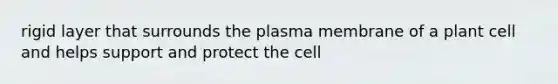 rigid layer that surrounds the plasma membrane of a plant cell and helps support and protect the cell