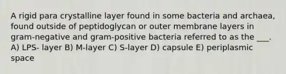 A rigid para crystalline layer found in some bacteria and archaea, found outside of peptidoglycan or outer membrane layers in gram-negative and gram-positive bacteria referred to as the ___. A) LPS- layer B) M-layer C) S-layer D) capsule E) periplasmic space