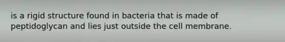 is a rigid structure found in bacteria that is made of peptidoglycan and lies just outside the cell membrane.