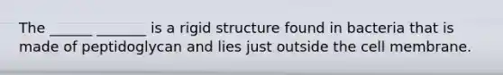 The ______ _______ is a rigid structure found in bacteria that is made of peptidoglycan and lies just outside the cell membrane.