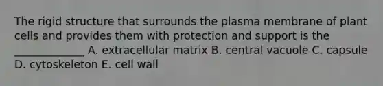 The rigid structure that surrounds the plasma membrane of plant cells and provides them with protection and support is the _____________ A. extracellular matrix B. central vacuole C. capsule D. cytoskeleton E. cell wall