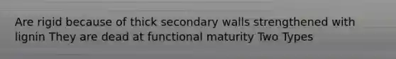 Are rigid because of thick secondary walls strengthened with lignin They are dead at functional maturity Two Types