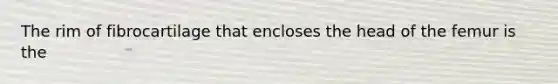 The rim of fibrocartilage that encloses the head of the femur is the