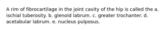 A rim of fibrocartilage in the joint cavity of the hip is called the a. ischial tuberosity. b. glenoid labrum. c. greater trochanter. d. acetabular labrum. e. nucleus pulposus.