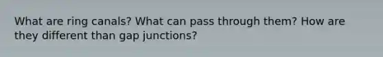 What are ring canals? What can pass through them? How are they different than gap junctions?