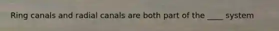 Ring canals and radial canals are both part of the ____ system