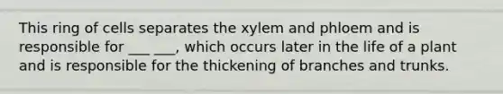 This ring of cells separates the xylem and phloem and is responsible for ___ ___, which occurs later in the life of a plant and is responsible for the thickening of branches and trunks.