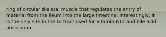 ring of circular skeletal muscle that regulates the entry of material from the ileum into the large intestine; interestingly, it is the only site in the GI tract used for Vitamin B12 and bile acid absorption.