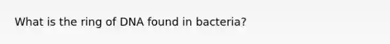 What is the ring of DNA found in bacteria?