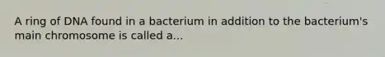 A ring of DNA found in a bacterium in addition to the bacterium's main chromosome is called a...