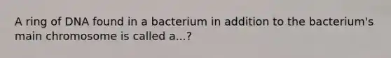 A ring of DNA found in a bacterium in addition to the bacterium's main chromosome is called a...?