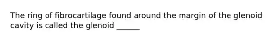 The ring of fibrocartilage found around the margin of the glenoid cavity is called the glenoid ______