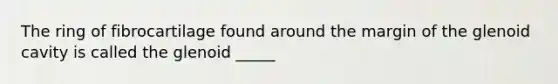 The ring of fibrocartilage found around the margin of the glenoid cavity is called the glenoid _____