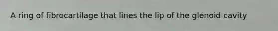 A ring of fibrocartilage that lines the lip of the glenoid cavity