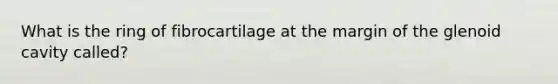 What is the ring of fibrocartilage at the margin of the glenoid cavity called?