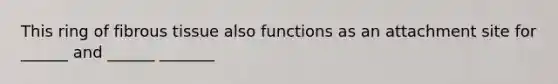 This ring of fibrous tissue also functions as an attachment site for ______ and ______ _______