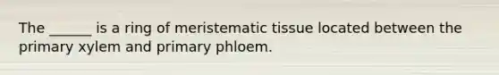 The ______ is a ring of <a href='https://www.questionai.com/knowledge/kh2R1rHa5M-meristematic-tissue' class='anchor-knowledge'>meristematic tissue</a> located between the primary xylem and primary phloem.