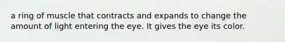 a ring of muscle that contracts and expands to change the amount of light entering the eye. It gives the eye its color.