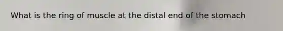 What is the ring of muscle at the distal end of the stomach