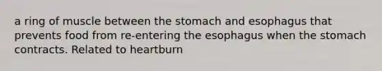 a ring of muscle between <a href='https://www.questionai.com/knowledge/kLccSGjkt8-the-stomach' class='anchor-knowledge'>the stomach</a> and esophagus that prevents food from re-entering <a href='https://www.questionai.com/knowledge/kSjVhaa9qF-the-esophagus' class='anchor-knowledge'>the esophagus</a> when the stomach contracts. Related to heartburn