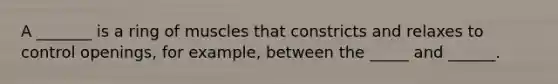 A _______ is a ring of muscles that constricts and relaxes to control openings, for example, between the _____ and ______.