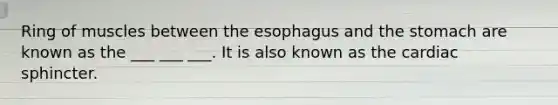 Ring of muscles between the esophagus and the stomach are known as the ___ ___ ___. It is also known as the cardiac sphincter.